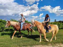 Lac de Garde : 2 heures de balade à cheval dans la campagne