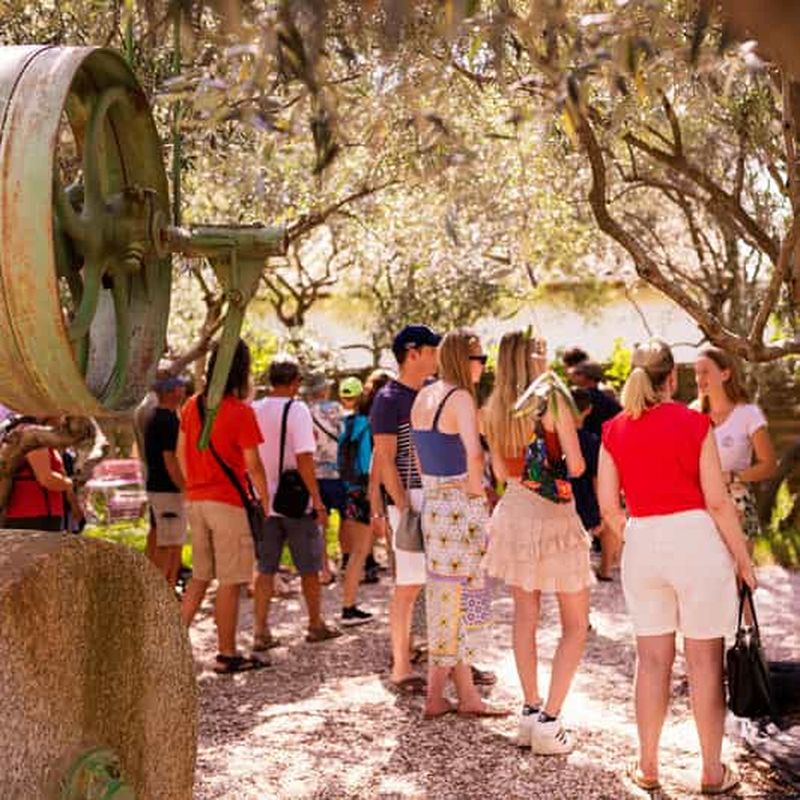 Moulin à huile l'Oulibo : Visite Guidée