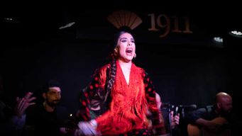 Madrid : Spectacle de flamenco et boisson au Tablao 1911 (le plus ancien du monde)