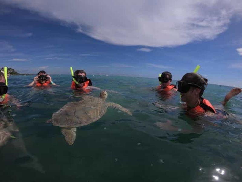 Akumal : plongée avec tuba guidée avec les tortues marines et baignade dans les récifs coralliens