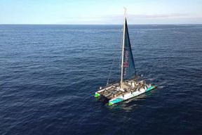 Costa Adeje : croisière écologique avec observation de baleines et dauphins, collation et boissons