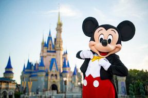 Orlando : Billets pour Walt Disney World - 1 parc par jour