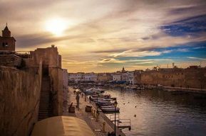 Circuit en Afrique du Nord : Utica-Bizerte-Cap Angela-Parc de l'Ichkeul