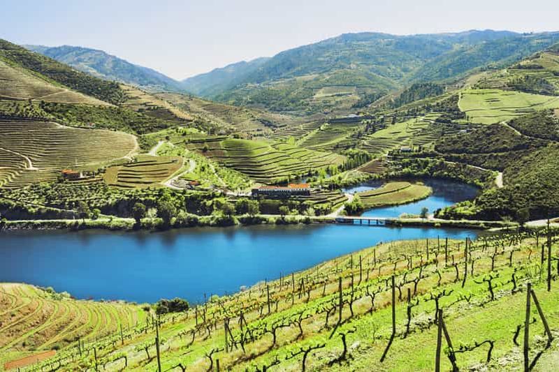 Depuis Porto : visite des vignobles de la vallée du Douro avec déjeuner et croisière fluviale