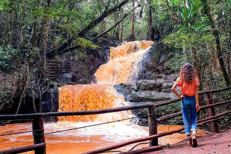 Nairobi : Visite guidée de la forêt de Karura depuis Nairobi