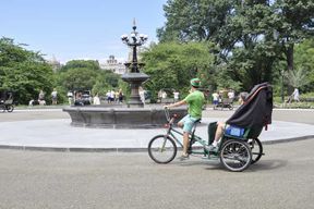 New York City : Visite privée de Central Park en Pedicab