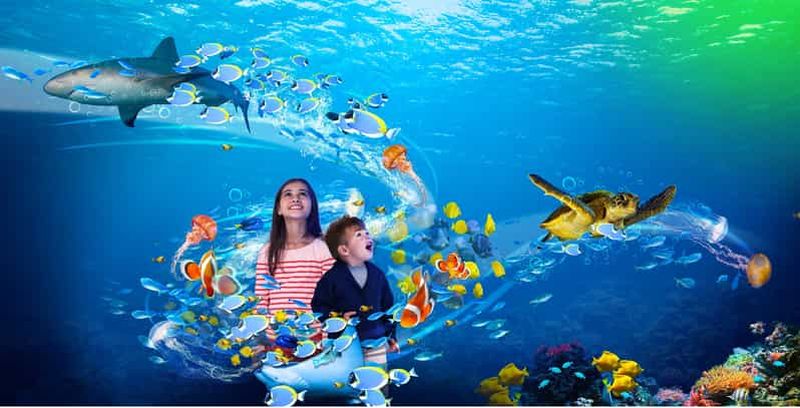 Scheveningen, La Haye : billet d'entrée au Sea Life