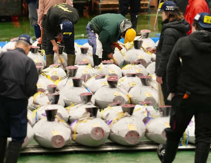 Marché de Toyosu ; visite matinale de la vente aux enchères de thons