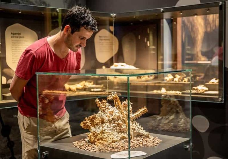 Mount Isa : Visite guidée du centre de découverte des fossiles de Riversleigh