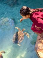 Zanzibar : nage des tortues de mer à la grotte de Kizimkazi Salaam