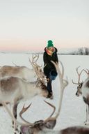 Tromsø : camp de rennes et visite culturelle sami avec déjeuner