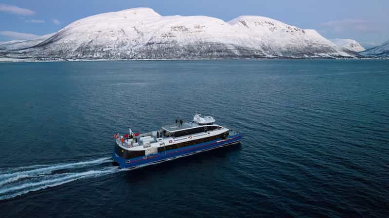 Au départ de Tromsø : Safari d'observation des baleines en catamaran à grande vitesse