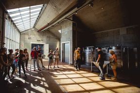 Badacsonytomaj : dégustation de vin et visite du domaine de Pátzay