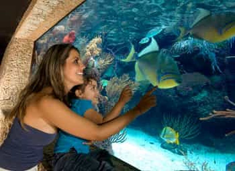 Combo 3 jours Xcaret, Xel-Ha & Chichen Itza avec nourriture et boissons