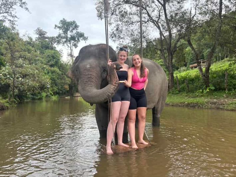 Chiang Mai : Visite du sanctuaire des éléphants et des chutes d'eau en groupe
