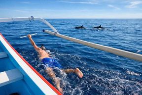 Bali/Lovina : observation guidée des dauphins et snorkeling au lever du soleil