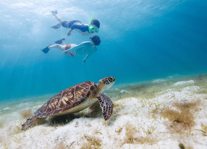 Bali/Nusa Penida : Plongée avec masque et tuba à Manta et visite de la plage de Kelingking