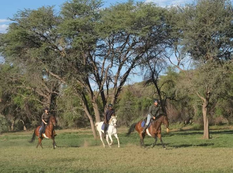 Windhoek : safari à cheval au coucher du soleil, visite d'une demi-journée