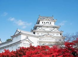 Château de Himeji, Arima Onsen et Mont Rokko : visite d'une journée depuis Osaka