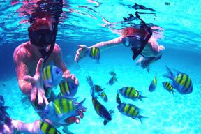 Depuis les Émirats arabes unis : Musandam Khasab Excursion d'observation des dauphins avec déjeuner