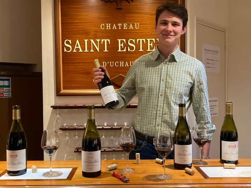 Vaucluse - Dégustation & visite au Château Saint Estève : La Verticale