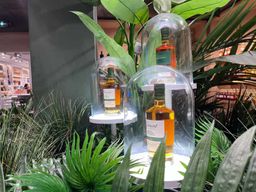 Le François - Visite gastronomique et confortable de la distillerie de rhum Clément - Pointe Faula