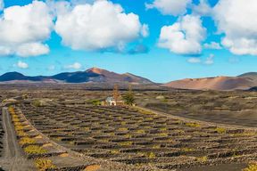 Arrecife : Timanfaya et lagune verte pour les croisiéristes