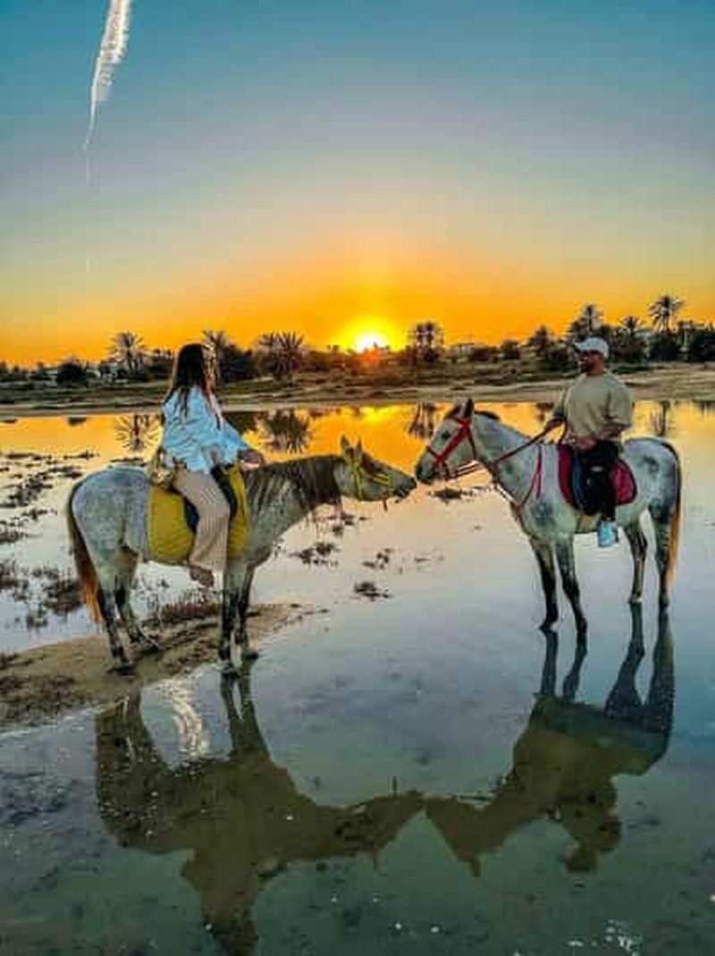 Balade à cheval au coucher du soleil sur les plages paisibles de Djerba.