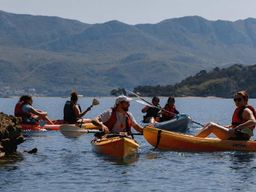 Budva : 3 heures de paddle board ou de kayak pour visiter les grottes côtières
