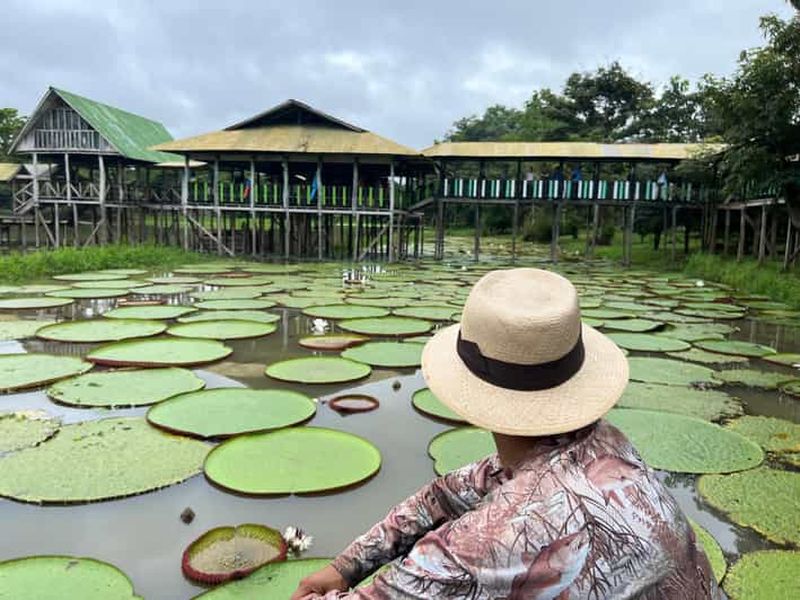 Excursion d'une journée dans la réserve naturelle Flor de Loto