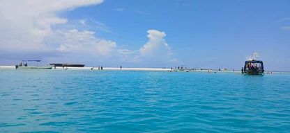 Mombasa : Excursion à la rencontre des dauphins de Wasini