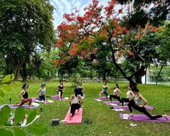 Bangkok : Yoga matinal pour tous les niveaux au parc Lumphini