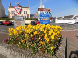 Portaferry : visite à pied historique guidée et traversée en ferry