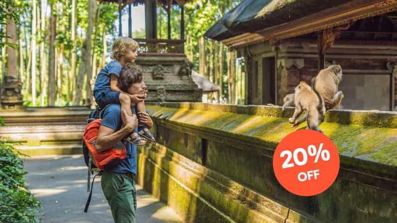 Ubud : Visite tout compris avec déjeuner facultatif