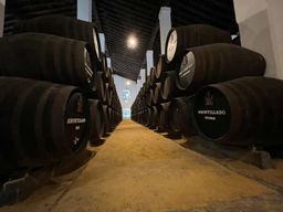 Jerez : visite guidée d'un domaine viticole avec dégustation de vin