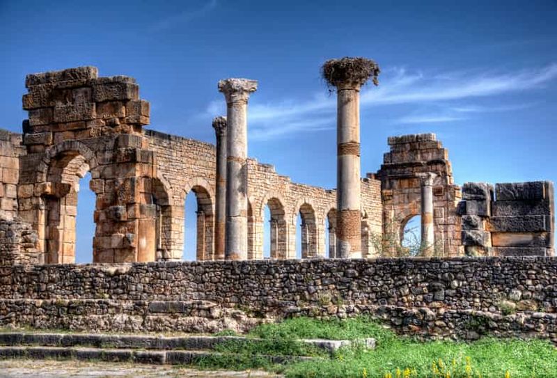 Excursion privée à Volubilis, Moulay Idriss et Meknès