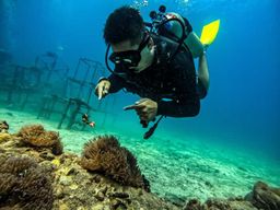 Île de Tioman, Malaisie : découvrez l'aventure de la plongée sous-marine