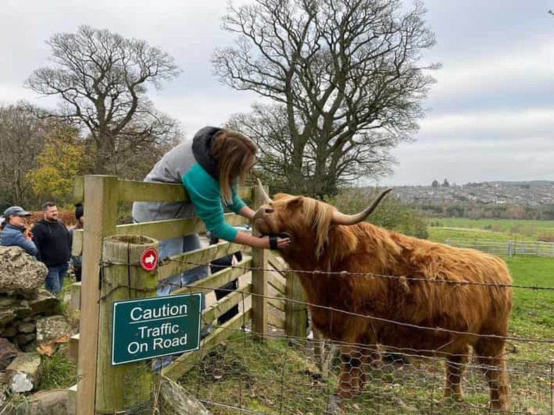 Édimbourg : Vache des Highlands, château de Blackness et visite guidée des gâteaux