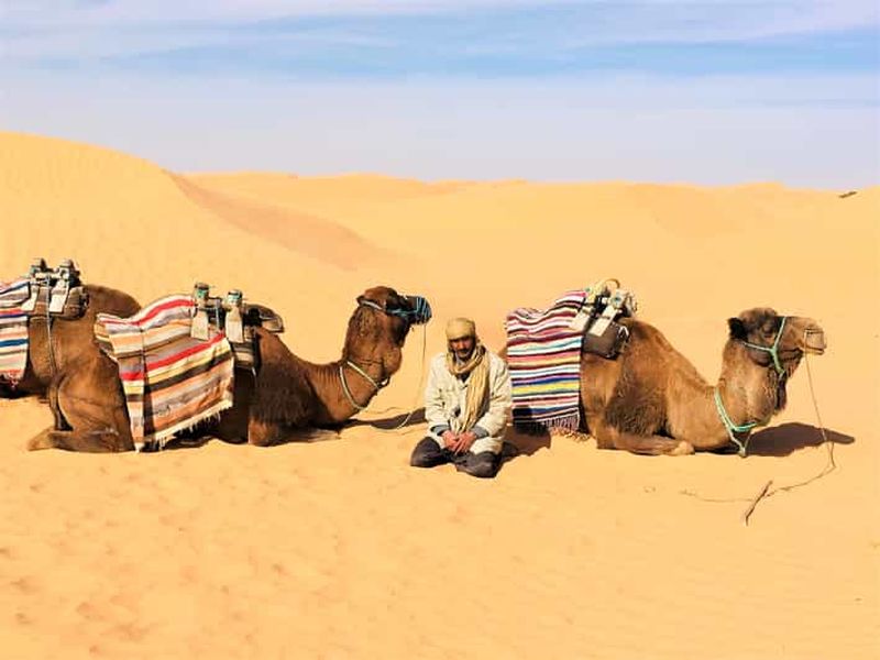 Au départ de Djerba : Visite d'une jounée à Ksar Ghilane, Sahara et Oasis