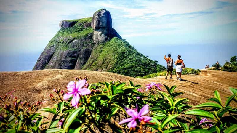 Randonnée en petit groupe dans le parc national de Tijuca jusqu'à Pedra Bonita
