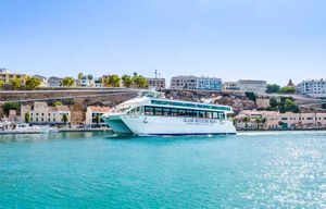 Mahon : tour en bateau du port avec observation et commentaires sous-marins
