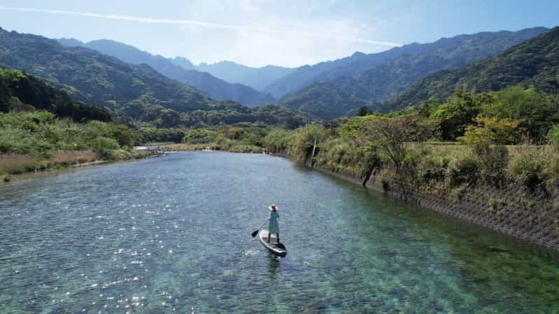 Yakushima : visite guidée privée