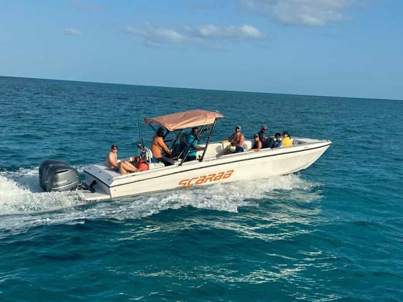 Nassau : Nager avec les cochons - Athol Island