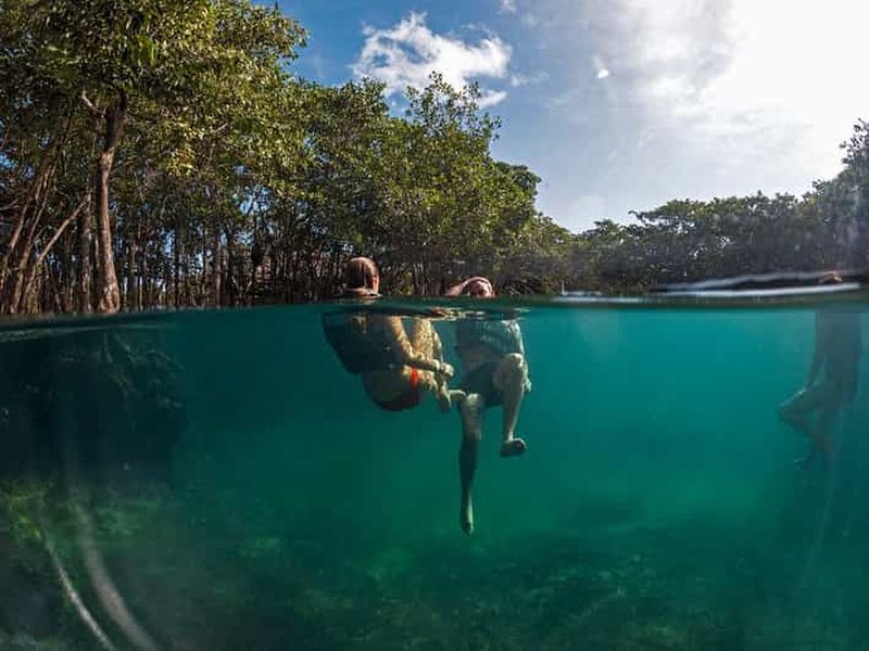 Holbox : Yalahau, île de la Passion et tour en bateau de Punta Mosquito