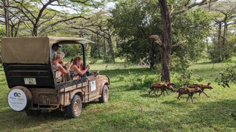 Zanzibar : Meilleur safari d'une journée à Selous avec vols et déjeuner