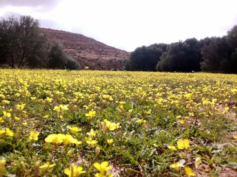Trekking CHENINI DOUIRET
