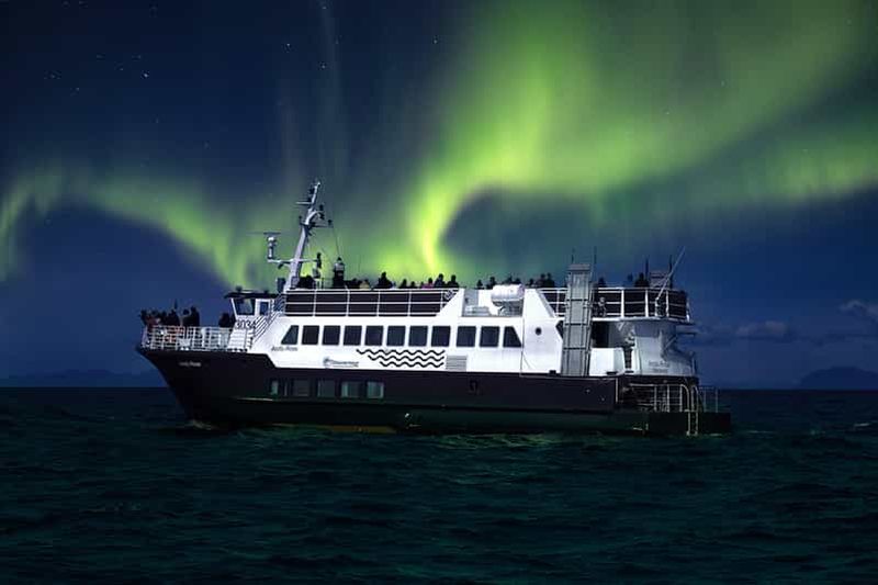 Au départ de Reykjavik : Croisière touristique sur les aurores boréales