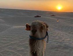 Ksar Ghilaine : Dîner au coucher du soleil et nuit étoilée dans le désert