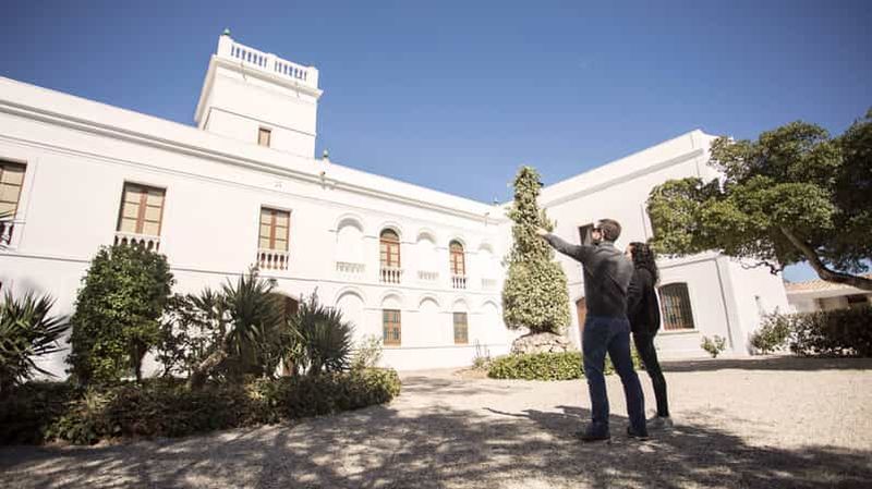 Billet d'entrée | Fundació Mas Miró - Mont-roig del Camp