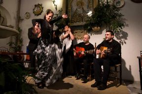 Cordoue : spectacle de flamenco et dîner gastronomique dans un patio